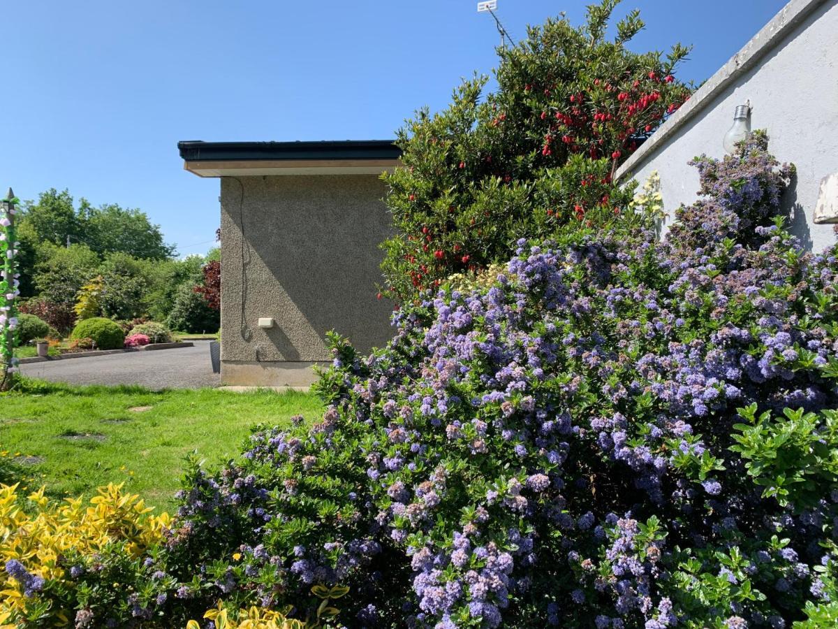 Hotel Roadside House Ballynahinch Zewnętrze zdjęcie